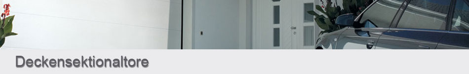 Deckensektionaltore